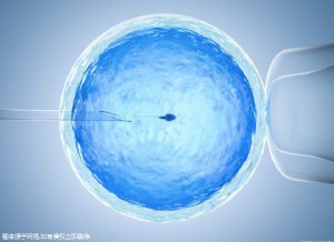 同性借卵代怀服务收费标准